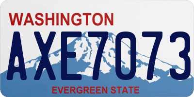 WA license plate AXE7073
