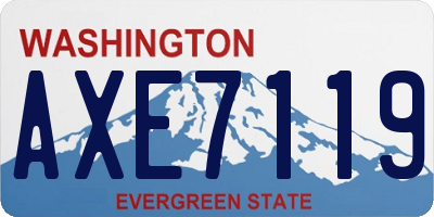 WA license plate AXE7119