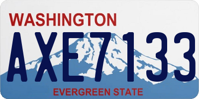 WA license plate AXE7133