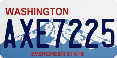 WA license plate AXE7225