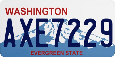 WA license plate AXE7229