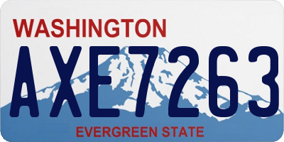WA license plate AXE7263