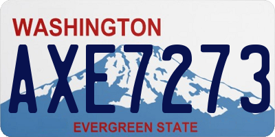 WA license plate AXE7273