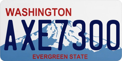 WA license plate AXE7300