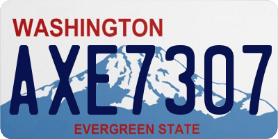 WA license plate AXE7307