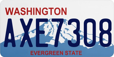 WA license plate AXE7308