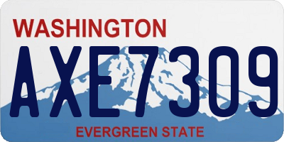 WA license plate AXE7309