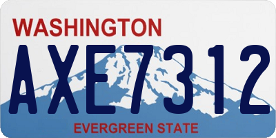 WA license plate AXE7312