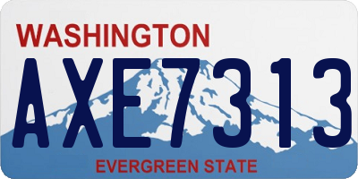 WA license plate AXE7313