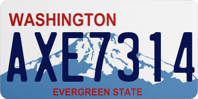 WA license plate AXE7314