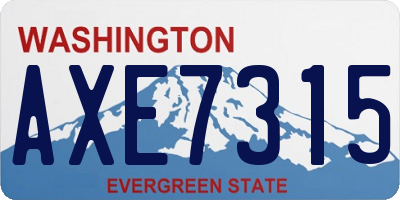 WA license plate AXE7315
