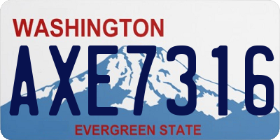 WA license plate AXE7316