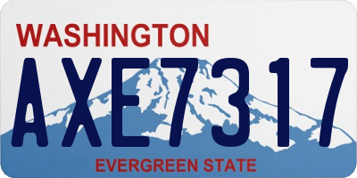 WA license plate AXE7317