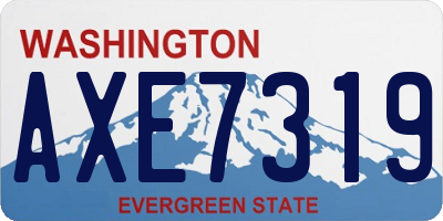 WA license plate AXE7319