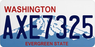 WA license plate AXE7325