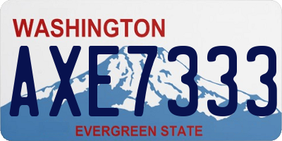 WA license plate AXE7333