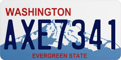 WA license plate AXE7341