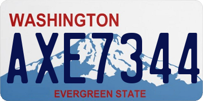 WA license plate AXE7344