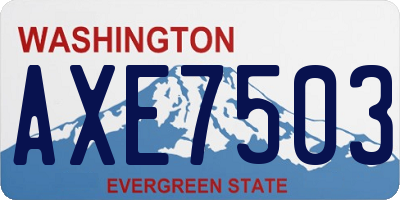 WA license plate AXE7503