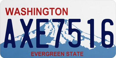 WA license plate AXE7516