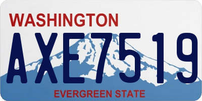 WA license plate AXE7519