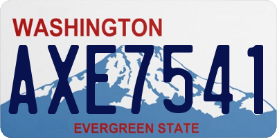 WA license plate AXE7541