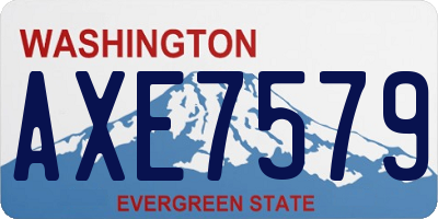 WA license plate AXE7579