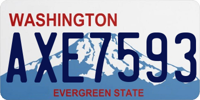 WA license plate AXE7593
