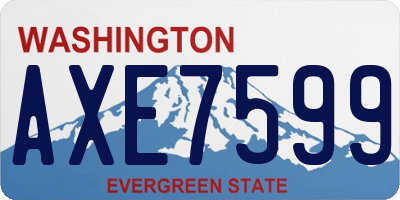 WA license plate AXE7599