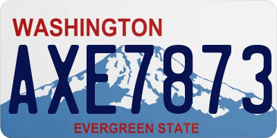 WA license plate AXE7873