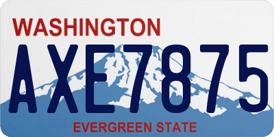 WA license plate AXE7875