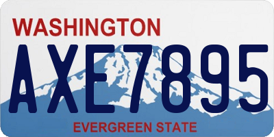 WA license plate AXE7895