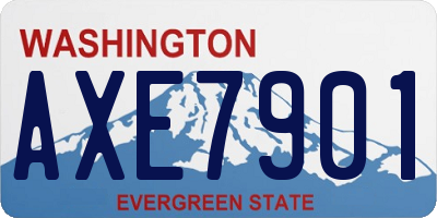 WA license plate AXE7901