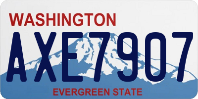WA license plate AXE7907