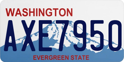 WA license plate AXE7950