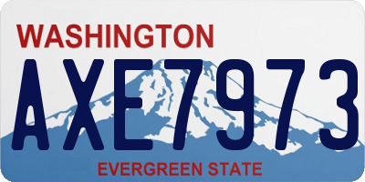 WA license plate AXE7973