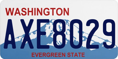 WA license plate AXE8029