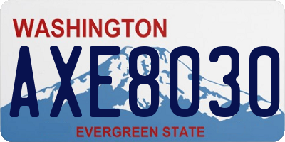 WA license plate AXE8030