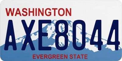 WA license plate AXE8044