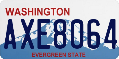 WA license plate AXE8064