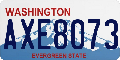 WA license plate AXE8073