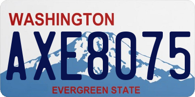 WA license plate AXE8075