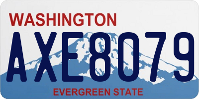 WA license plate AXE8079