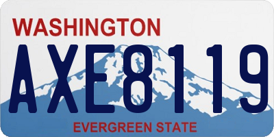 WA license plate AXE8119