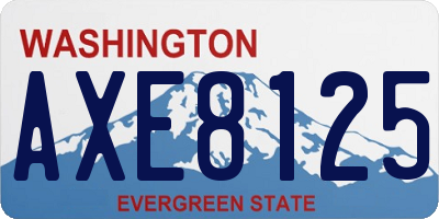 WA license plate AXE8125