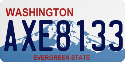 WA license plate AXE8133