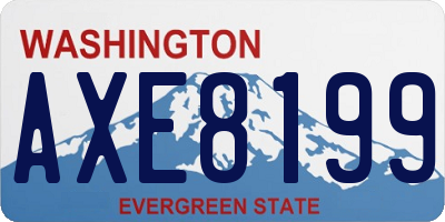 WA license plate AXE8199