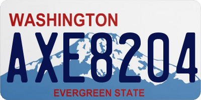WA license plate AXE8204