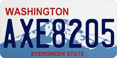 WA license plate AXE8205