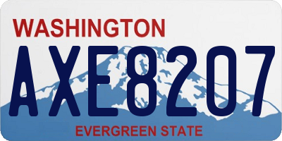 WA license plate AXE8207